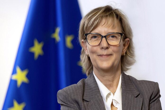 Maria Luís Albuquerque, European Commission